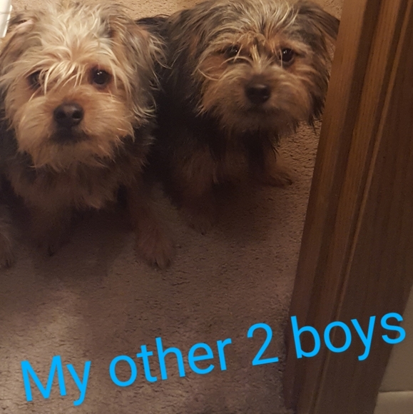 Meet your Posher, Heather - Picture 2 of 11